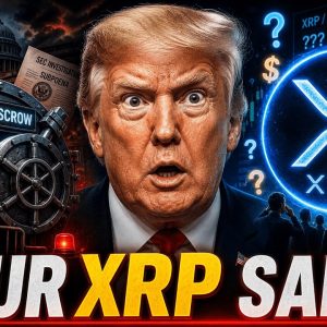 HOW MUCH WILL YOUR XRP BE WORTH? - IF THEY TAKE RIPPLE'S ESCROW WHAT ABOUT YOUR XRP? - XRP NEWS!